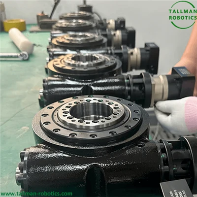 Céimeanna Mótaraithe Beachtais Le Roller Gear Drive Réidh Le Seachadadh Do Chustaiméir na hIndinéise